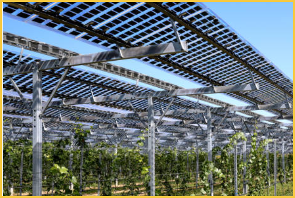 Secteur d'Agriculture